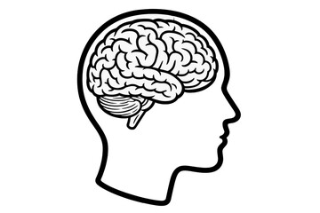 Human head silhouette with brain icon. Concept of mind, intelligence, psychology, and mental health. Vector for science, medical, and knowledge themes. Anatomy illustration.