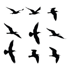 Flying Bird Silhouettes Collection – Set of Bird Shapes in Flight