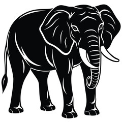 elephant vector illustration