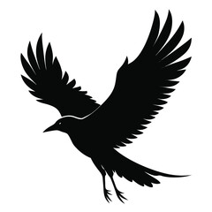 Black Silhouette of a Crow with Wings Spread Wide bird