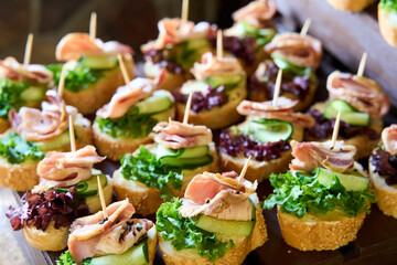 Bite-sized culinary delights featuring fresh ingredients and vibrant colors presented at an outdoor gathering