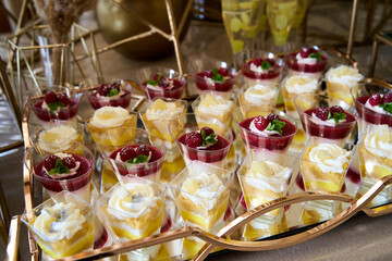 Colorful dessert display featuring layered treats with fresh fruits at a festive gathering
