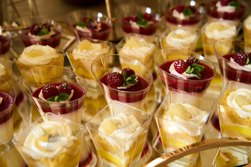 Delightful desserts showcase vibrant layers of fruit, cream, and garnishes at a joyful buffet celebration