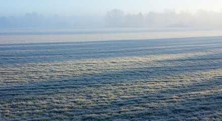 Fototapeta premium Glistening frost covers a vast rural field in the cold morning light, casting long shadows across the serene, misty landscape