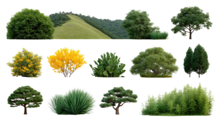 Vibrant Flora Mosaic: A lively assortment of meticulously curated flora components bursts to life, showcasing lush trees, diverse bushes, and vibrant foliage.