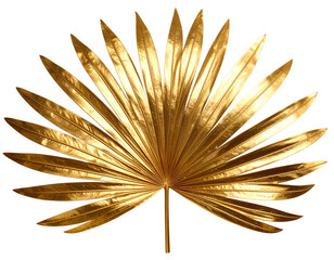Metallic Gold Palm Leaf Flat Lay, Front-Facing Texture, Isolated on Transparent Background