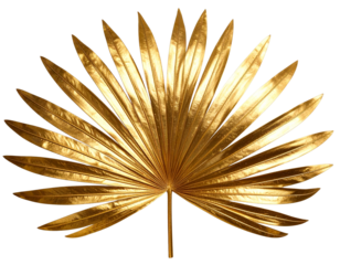Metallic Gold Palm Leaf Flat Lay, Front-Facing Texture, Isolated on Transparent Background