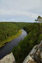 Fototapeta premium A Serene River Flowing Gently Through a Beautiful and Lush Forest Landscape of Nature