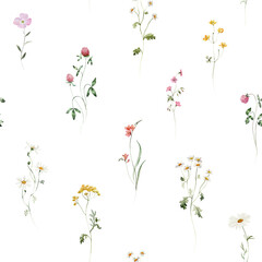 Seamless pattern. Watercolor colorful wildflower floral flower forest meadow clipart white green herbs red yellow leaves. Wedding, background, fashion, textile. Fern, shamroock, chamomile, poppy, ivy.