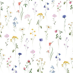Seamless pattern. Watercolor colorful wildflower floral flower forest meadow clipart white green herbs red yellow leaves. Wedding, background, fashion, textile. Fern, shamroock, chamomile, poppy, ivy. © Veris Studio