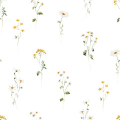 Seamless pattern. Watercolor colorful wildflower floral flower forest meadow clipart white green herbs red yellow leaves. Wedding, background, fashion, textile. Fern, shamroock, chamomile, poppy, ivy.