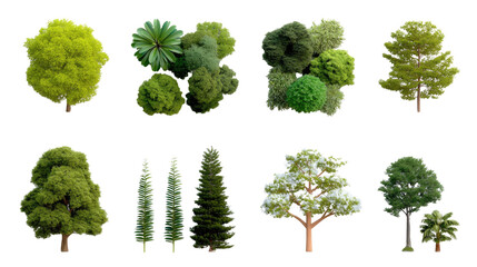 Fototapeta premium Diverse Collection of Trees: An assortment of meticulously crafted trees, each possessing unique foliage, forming a varied composition.