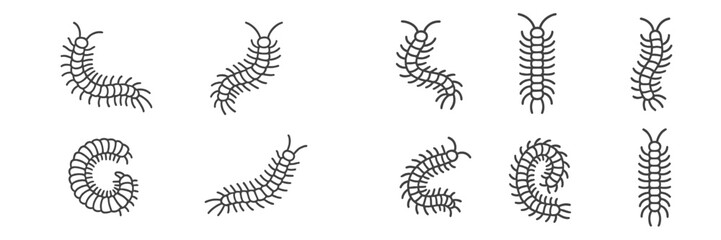 Obraz premium Collection of stylized centipede illustrations