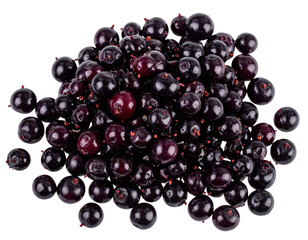 Loose Fresh Elderberries Scattered, Minimalist Layout, isolated