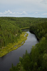 Fototapeta premium A Serene Scenic View of a Beautiful Meandering River Flowing Through a Lush Green Forest