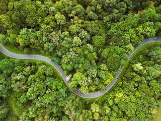 Aerial View of Curvy Road Through Dense Green Forest