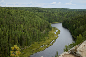 A Serene River Meandering Gently Through a Lush, Green Forest Landscape That Invites Exploration