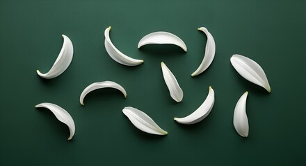 Obraz premium Elegant white flower petals scattered on a rich green background, perfect for nature-inspired designs, floral art, and serene minimalist decor.