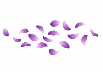 Scattered Lilac Flower Petals Delicate and Soft.