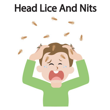 Vector illustration of head lice and nits showing itching, scalp irritation, redness, plus similar conditions like dandruff, scabies, and allergic dermatitis crying kid