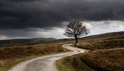 a solitary tree stands sentinel beside a winding dirt road disappearing into a dramatic grey landscape under a stormy sky