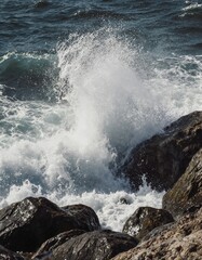 Fototapeta premium A powerful wave crashes against rugged rocks, creating a dramatic splash and spray in a coastal scene