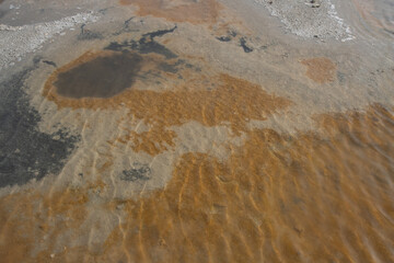 salt pan Brownish water with underwater algae and human shadows cast on the surface. Close-up of beige salt crust texture with natural wave-like patterns on surface.