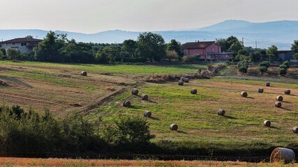 Rural summer countryside with hay bales scattered on farmland near Benevento, Italy, with houses...