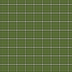 Deep Forest Green Gingham Fabric Texture