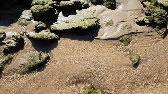 Slime-covered stones on the stunning Ca&ntilde;os de Meca beach, at the foot of the Trafalgar Lighthouse, in the coast of Cadiz, Andalusia, Spain.