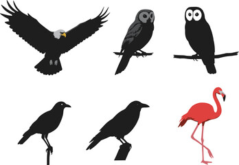PrintVector illustration set of birds including eagle, owls, crows, and flamingo, perfect for wildlife, nature, animal design, and educational content.