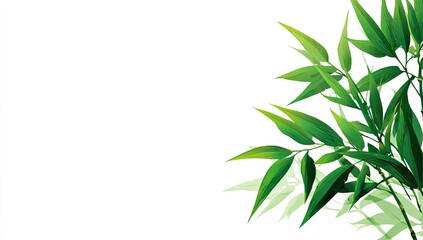 Naklejka premium Fresh green bamboo leaves on white background, nature concept.
