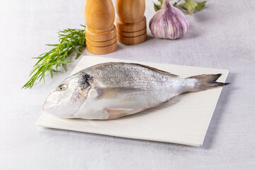 Raw fresh uncooked dorada fish