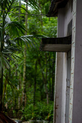 Rainwater flowing from a gutter into a lush green forest