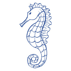 Fototapeta premium Seahorse outline isolated on white background. Simple ink blue line vector illustration for logo, branding, packaging, wall art, stationery, stickers, coloring pages, textile print