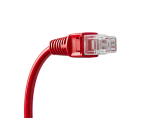Close-up of a red network cable connector