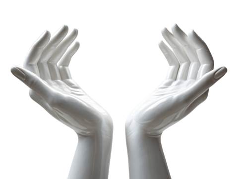 Two white mannequin hands isolated on transparent background