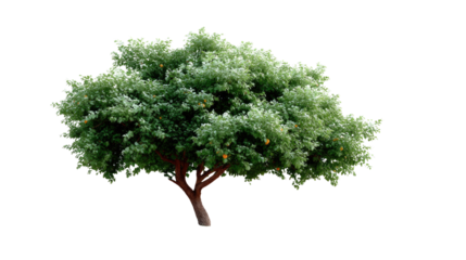 Lonely Tree Standing Tall: A majestic tree with lush, green foliage stands in the sunlight, its strong trunk and branches reaching towards the sky.