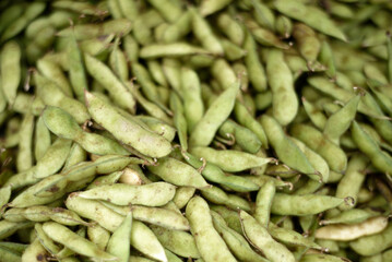 fresh green edamame beans