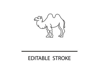 Elegant camel line art symbol for desert travel and adventure, perfect for modern branding and iconic design needs.