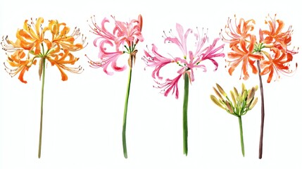 A collection of colorful flowers in various shades including orange, pink, and peach, with delicate petals and slender green stems, showcasing a watercolor style