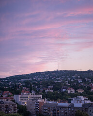 Vertical Cityscape of a Hillside Neighborhood at Sunset with Purple and Pink Sky