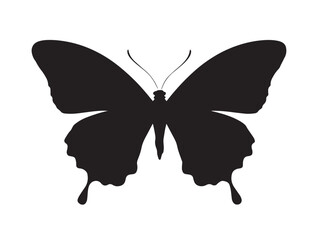 Black butterfly silhouette design on white background vector