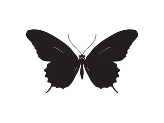 Elegant butterfly silhouette vector illustration black and white