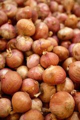 Basket full of organic onions in rustic setting