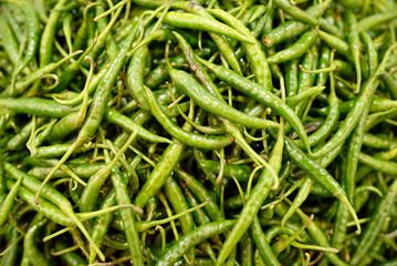 green chilli pepper background