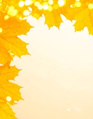 Fototapeta premium Autumn leaves frame (3)