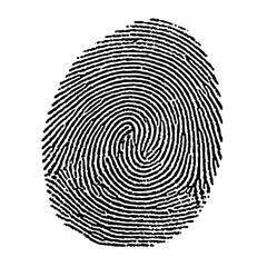 Detailed black and white illustration of a fingerprint with swirling ridges on a white background image