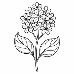 line art vecrbena hastata vector on white background