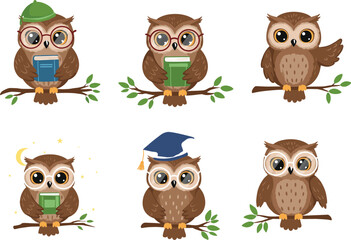 Cute cartoon owl characters sitting on branches, reading books, wearing glasses, graduation hats, green cap, night stars, educational vector.